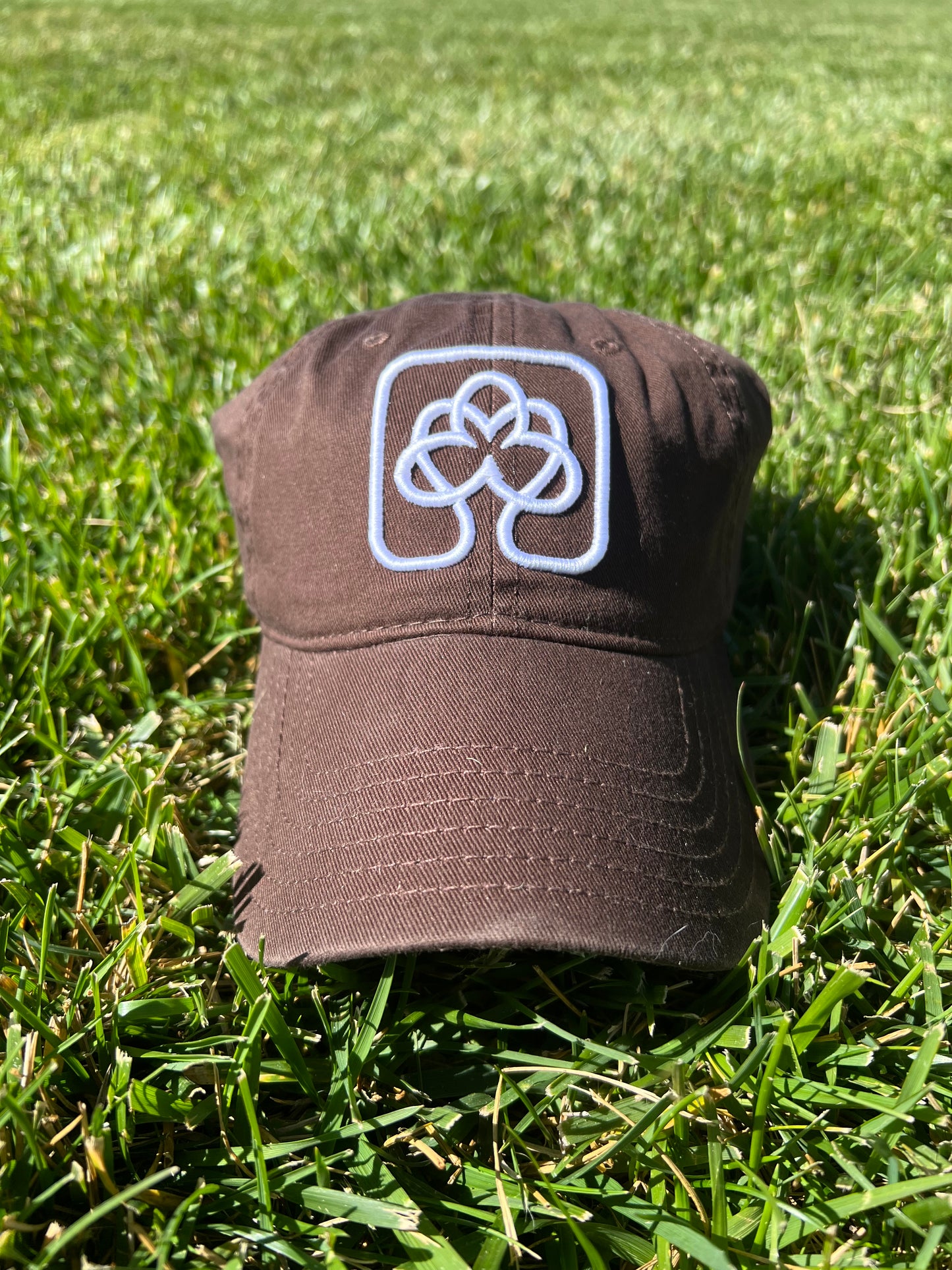 Thinking Cap - Brown